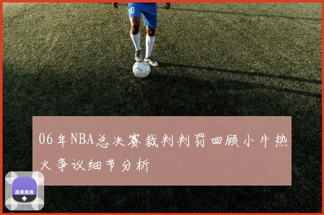 06年NBA总决赛裁判判罚回顾小牛热火争议细节分析