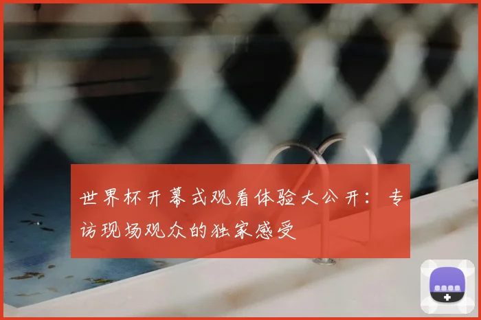 世界杯开幕式观看体验大公开：专访现场观众的独家感受