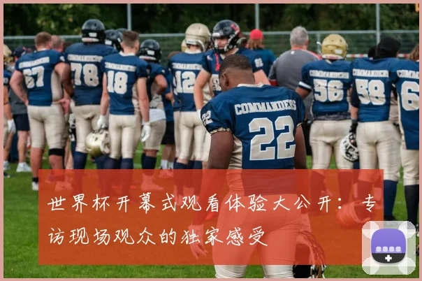 世界杯开幕式观看体验大公开：专访现场观众的独家感受